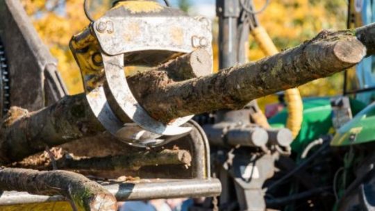 Broyeur de végétaux : comment choisir le modèle qui vous convient ?