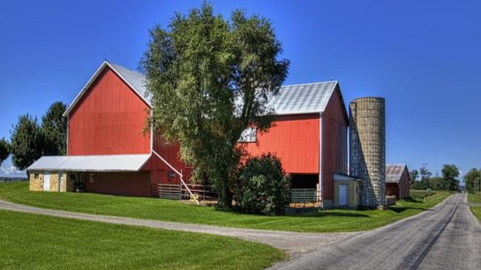 Quelques points à connaître avant de construire un bâtiment agricole