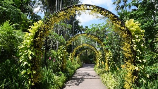 Le guide d’installation d’une arche de jardin