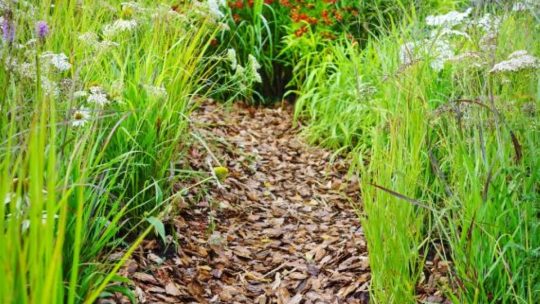Tuto jardinage : apprendre à faire soi-même son paillis