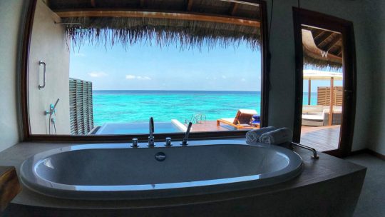 Zoom sur le spa Netspa Octopus
