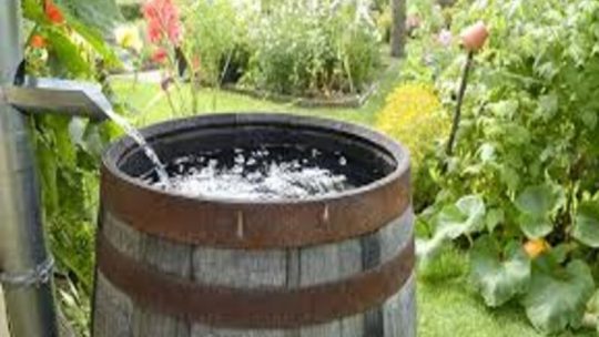 Comment installer un système de récupération d&rsquo;eau de pluie pour l&rsquo;arrosage ou les toilettes ?