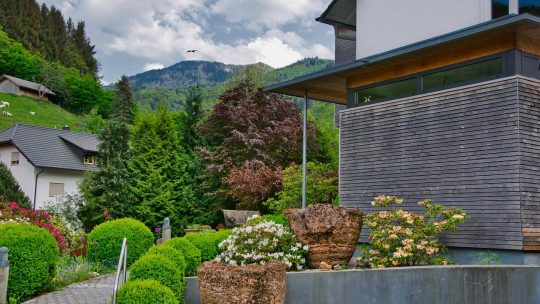 Délimitation naturelle : utiliser des éléments végétaux pour structurer votre jardin