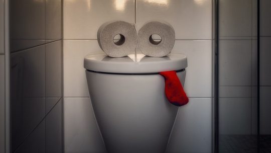 Installation DIY ou professionnel : quelle option choisir pour votre fosse septique ?