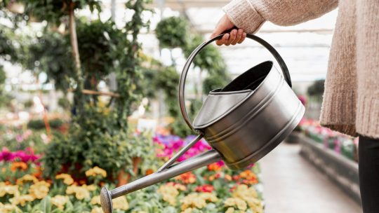 Les solutions pour gérer l&rsquo;arrosage et l&rsquo;irrigation dans un jardin urbain