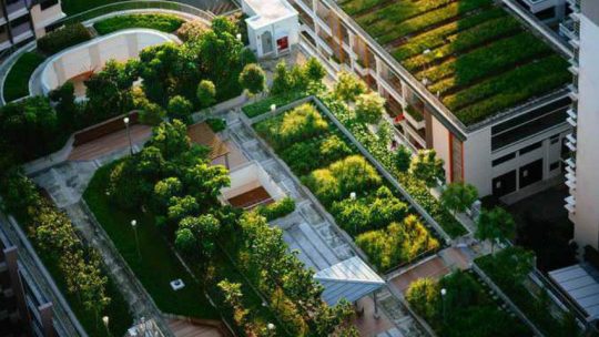 Les toits verts : une réponse innovante pour améliorer la vie urbaine