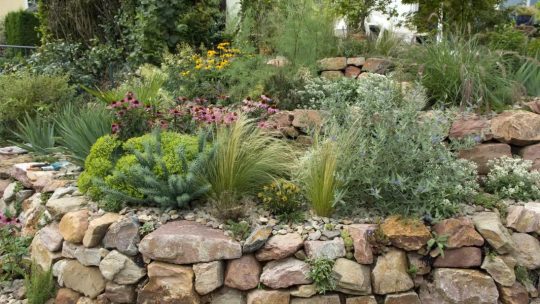 Empierrement de jardin : allier esthétique et fonctionnalité pour vos aménagements extérieurs