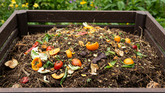 Les techniques de compostage à connaître pour un jardin sain