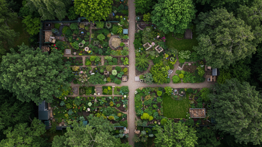 Comment organiser un espace de jardin pour favoriser la biodiversité ?