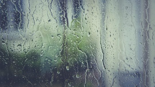 Comment traiter l&rsquo;humidité d&rsquo;un bâtiment efficacement ?