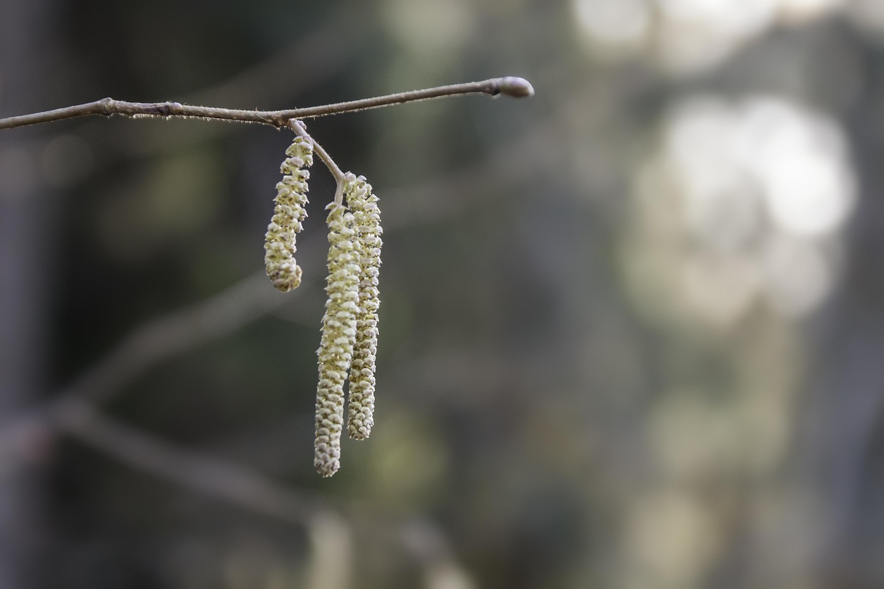 découvrez tout sur l'allergie au chlore : symptômes, causes, traitement et conseils pour éviter les réactions allergiques liées au chlore.