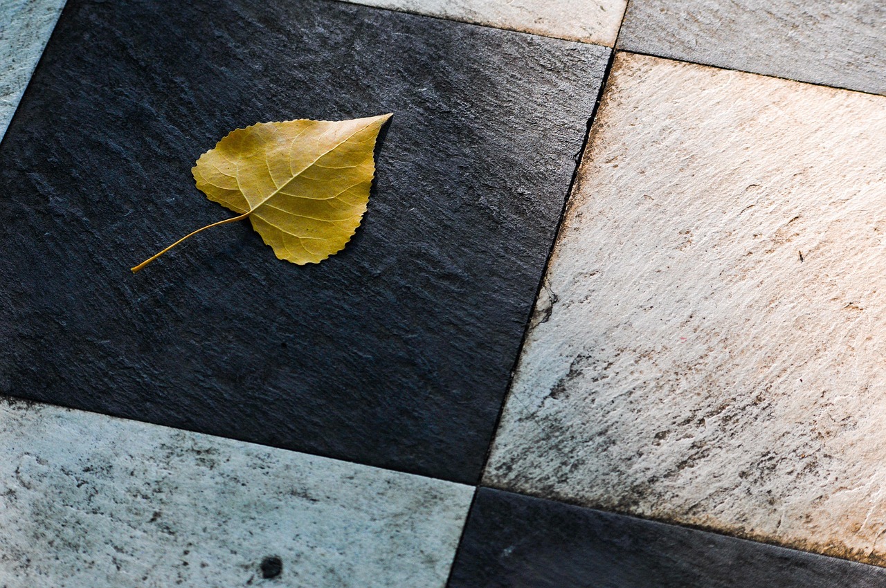découvrez notre sélection de carreaux effet pierre, alliant élégance naturelle et résistance, parfaits pour sublimer tous vos espaces intérieurs et extérieurs.