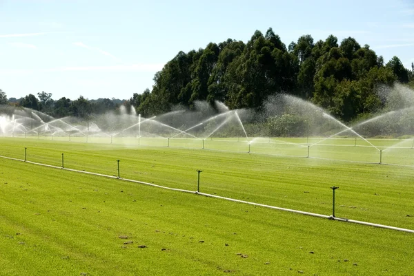 Sous-compteur eau pour division de terrain